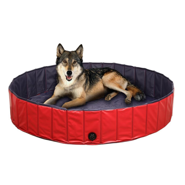 Deluxe Portable Dog Pool