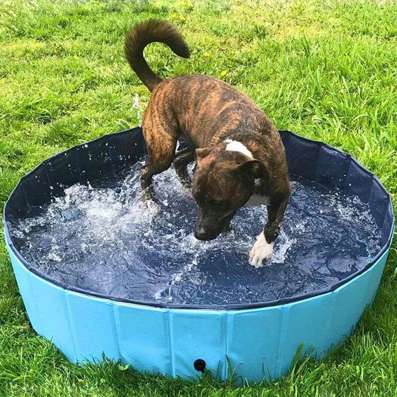 Deluxe Portable Dog Pool