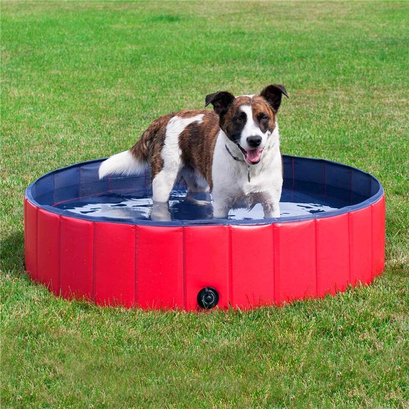 Deluxe Portable Dog Pool