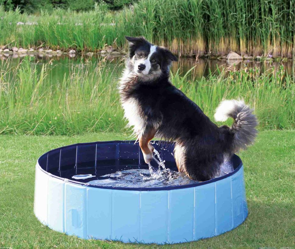 Deluxe Portable Dog Pool