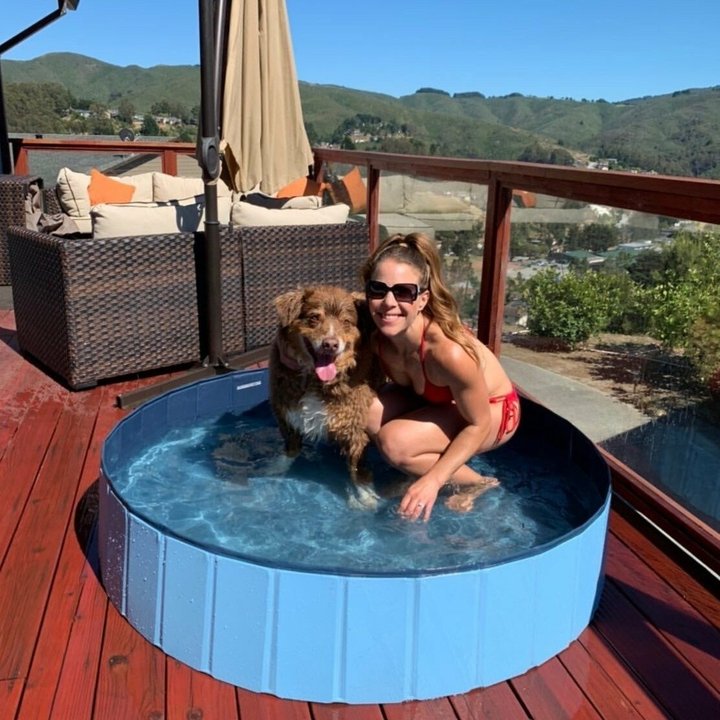 Deluxe Portable Dog Pool