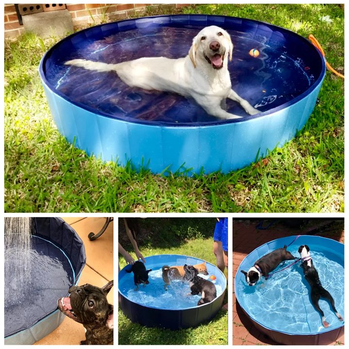 Deluxe Portable Dog Pool