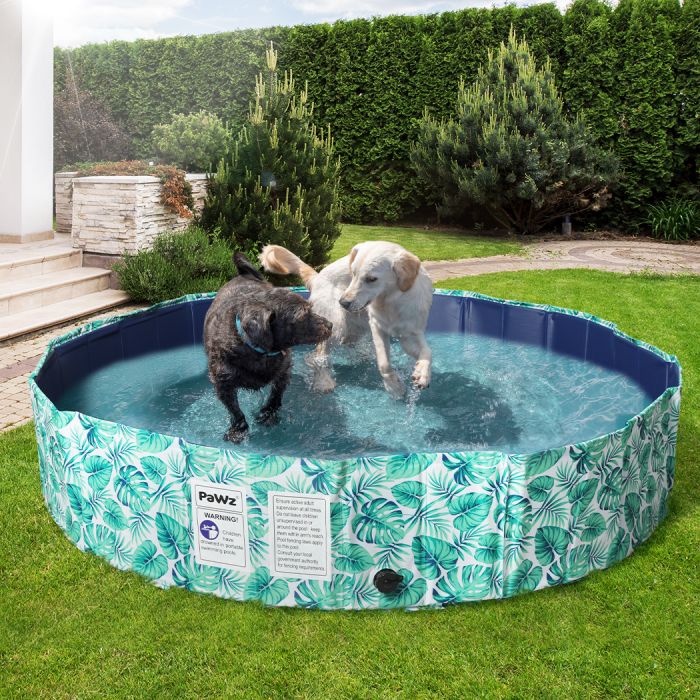 Deluxe Portable Dog Pool